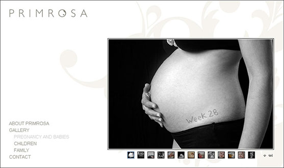 Primrosa Web Site Screenshot - Click to Enlarge